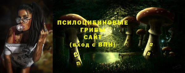 крисы Армянск