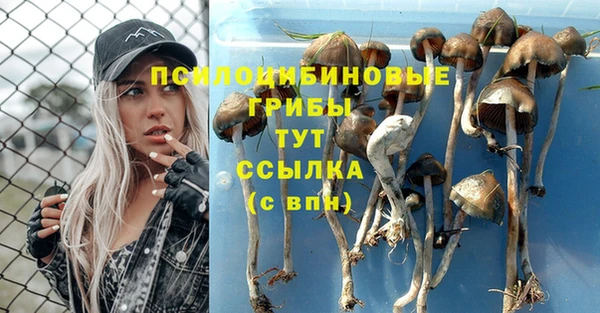 кокс Няндома