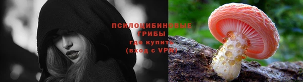 крисы Армянск