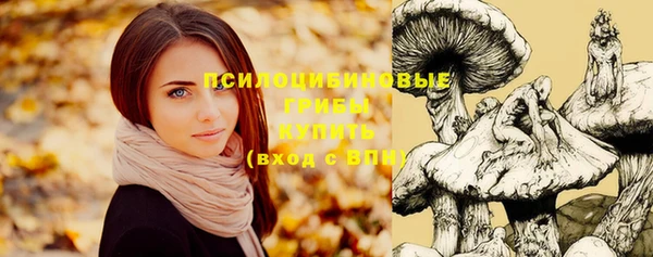 крисы Армянск