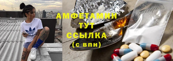 крисы Армянск