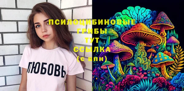 крисы Армянск